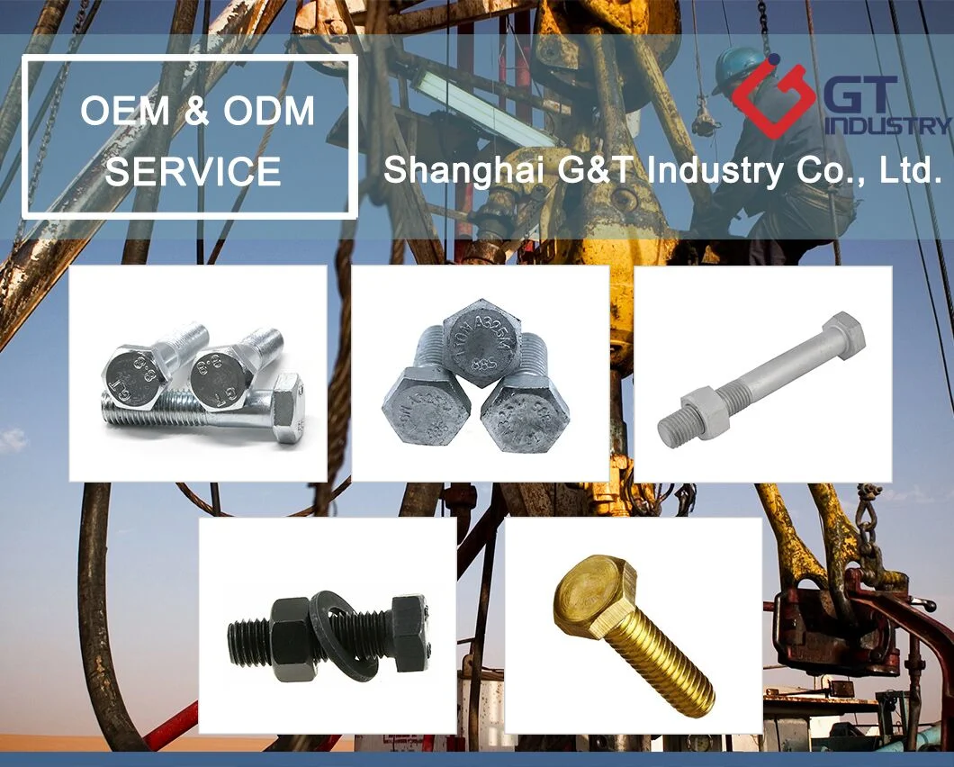 M20 M22 ASTM Grade 2 5 8 Grade 4.8 8.8 10.9 12.9 Carbon Steel HDG Dacromet Geomet Galvanized Stainless Steel DIN931 933 ISO4017 A325heavy Hexagon Hex Head Bolt