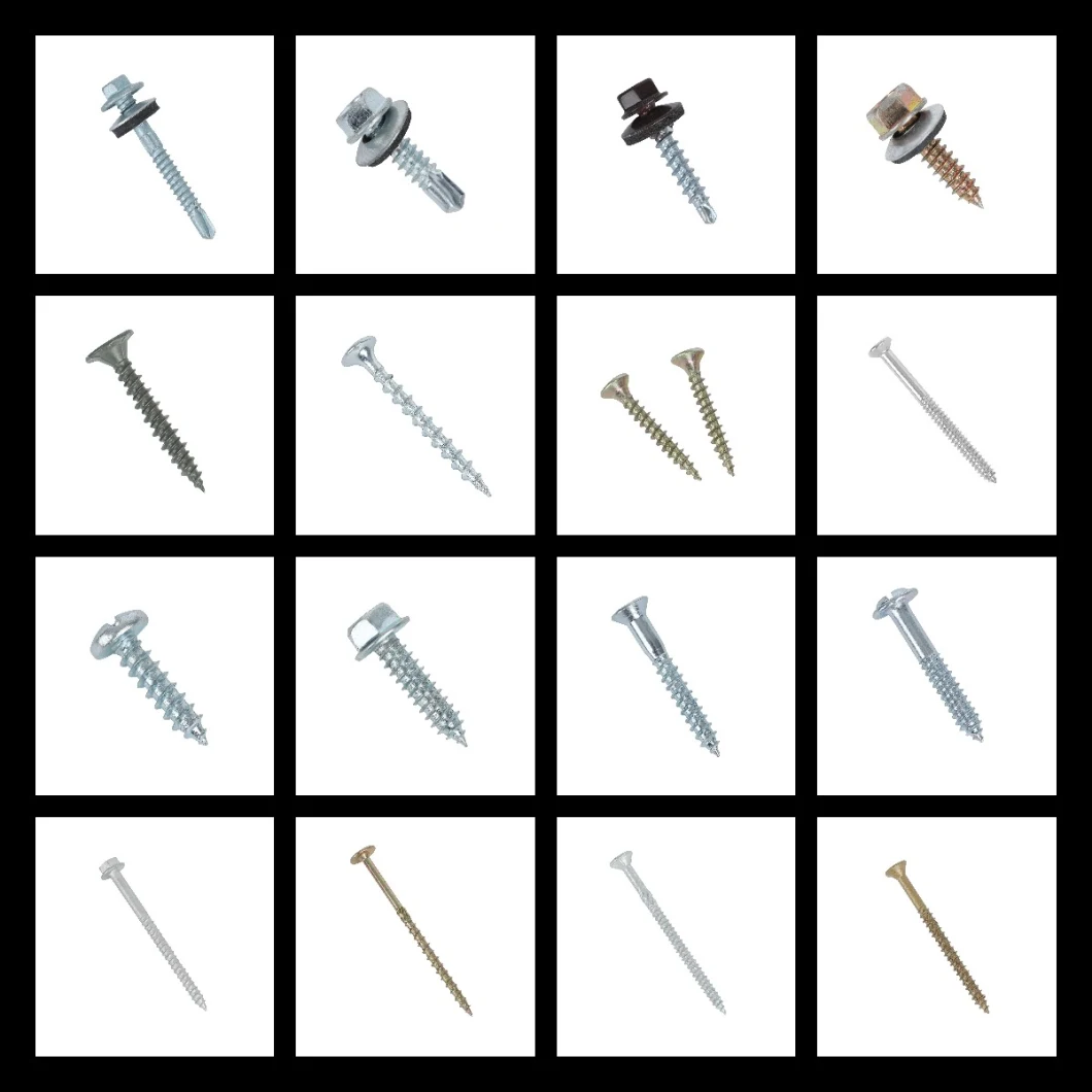 Supply All Kinds of Screws-Drywall Screw-Chipboard Furniture Screw-Self Drilling Screw-Roofing Screw-Decking Screw-Wood Screw-Machine Screw-Self Tapping Screw