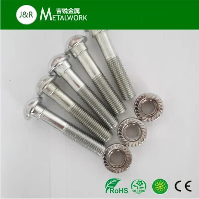 Stainless Steel Oval Head Square Neck Track Fish Bolt (SS304 SS316 316L)