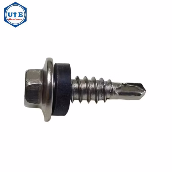 Stainless Steel Machine Screw Self Tapping Screw Self Drilling Screw Socket Screw Wood Screw Set Screws