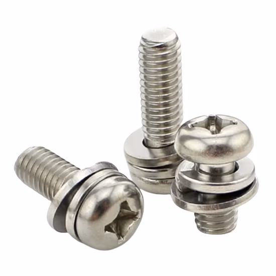Stainless Steel Phillips Pan Head Combination Screw, Assembly Screw, Sem Screw